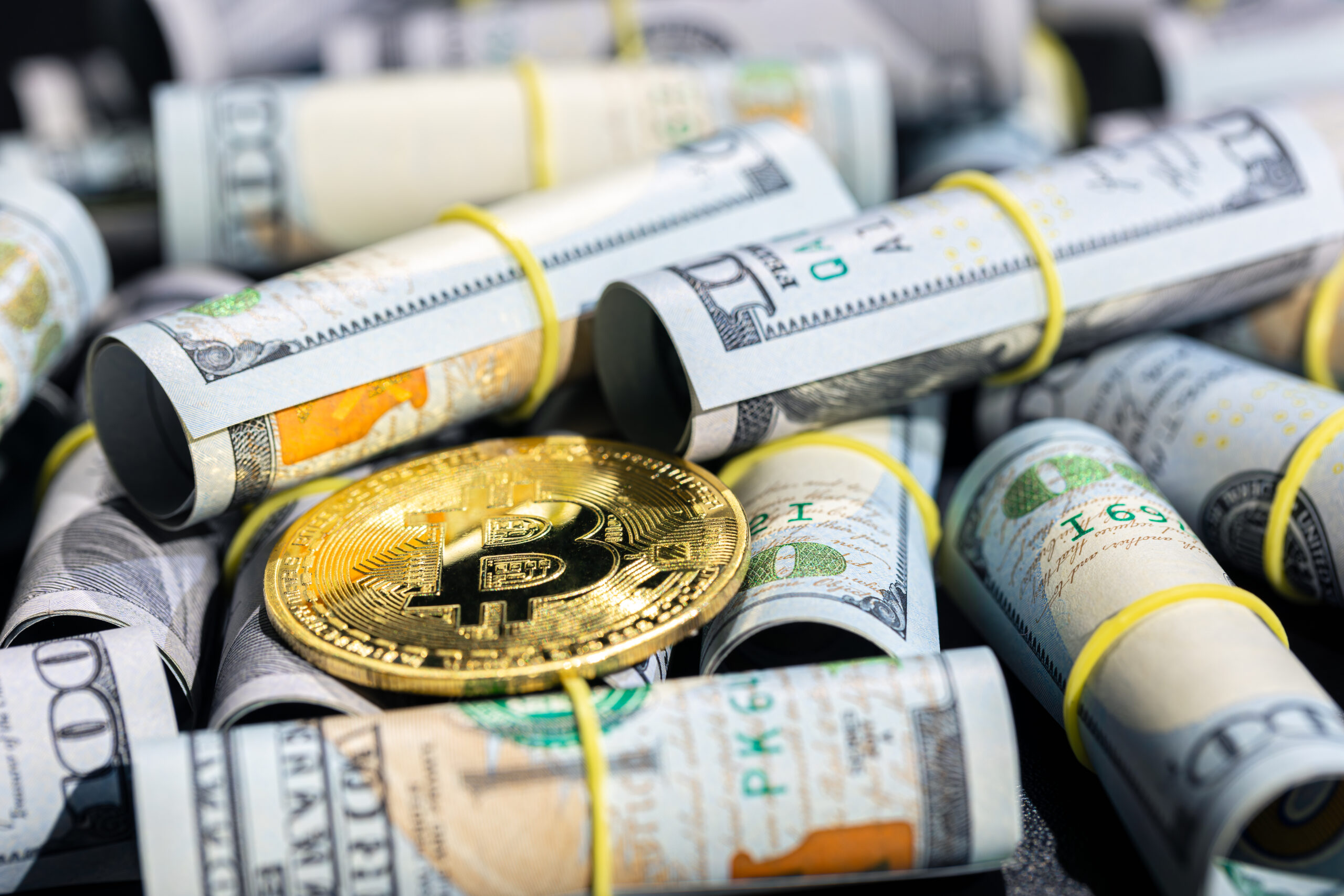 Types of Crypto Loans: Discover Their Bright Side